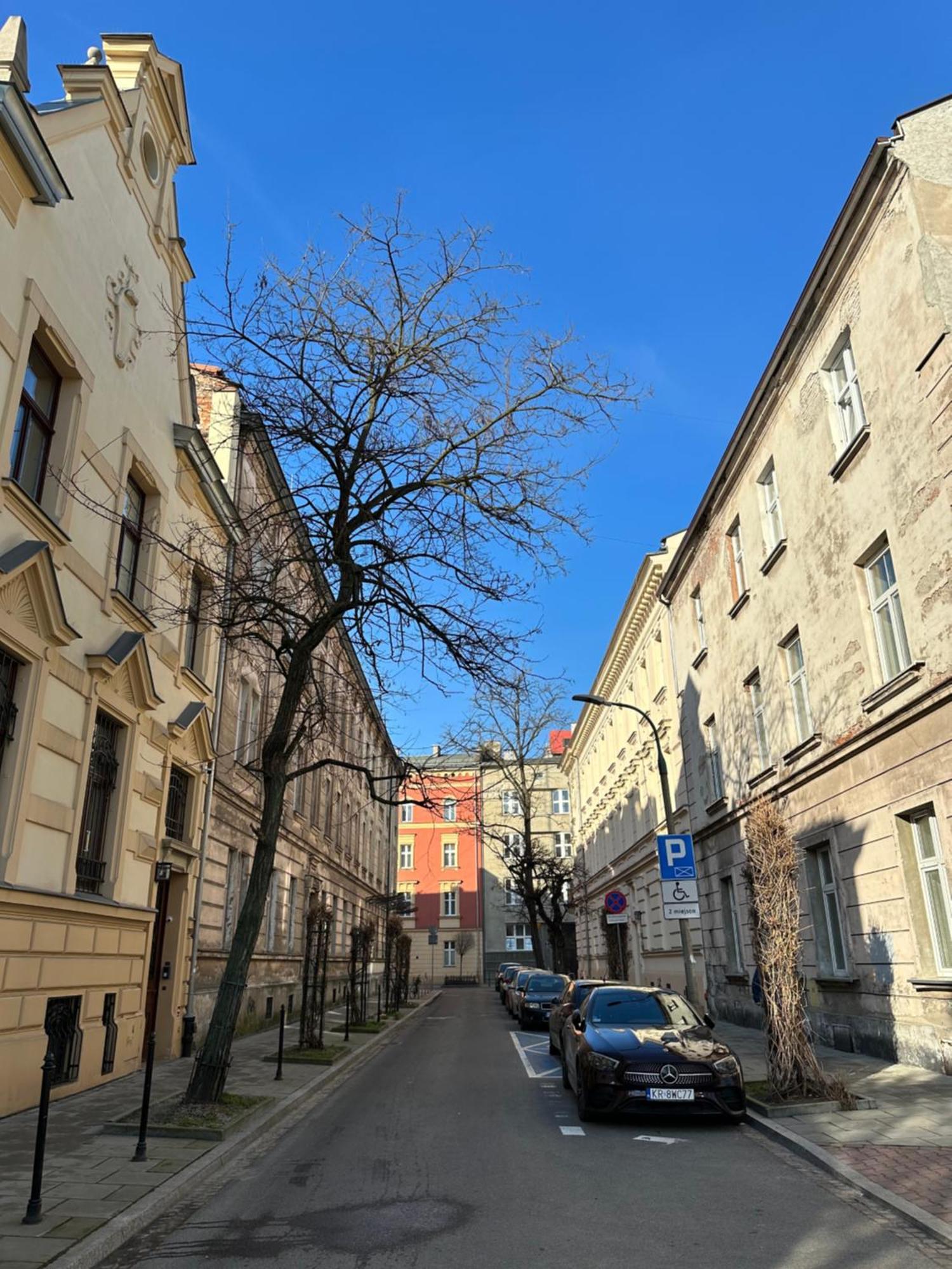 Perfect Place To Stay In Krakow City Center 36M2 W3 エクステリア 写真